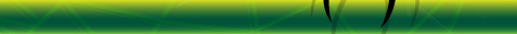 Spidey Web Design