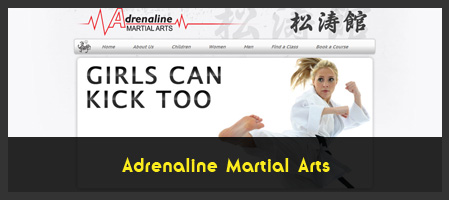 Adrenaline Martial Arts Karate School