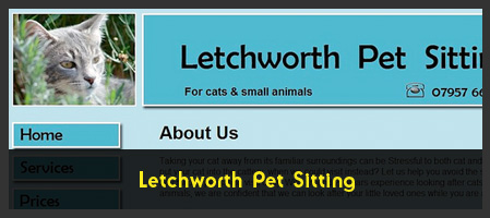 Letchworth Pet Sitting Services